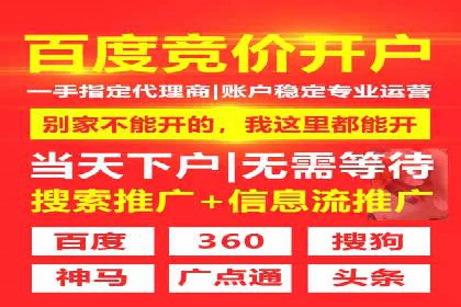 优化搜索流量：SEO技巧的多个成功案例